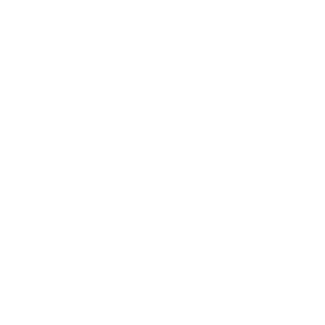 Brooklyn Brewery Logo